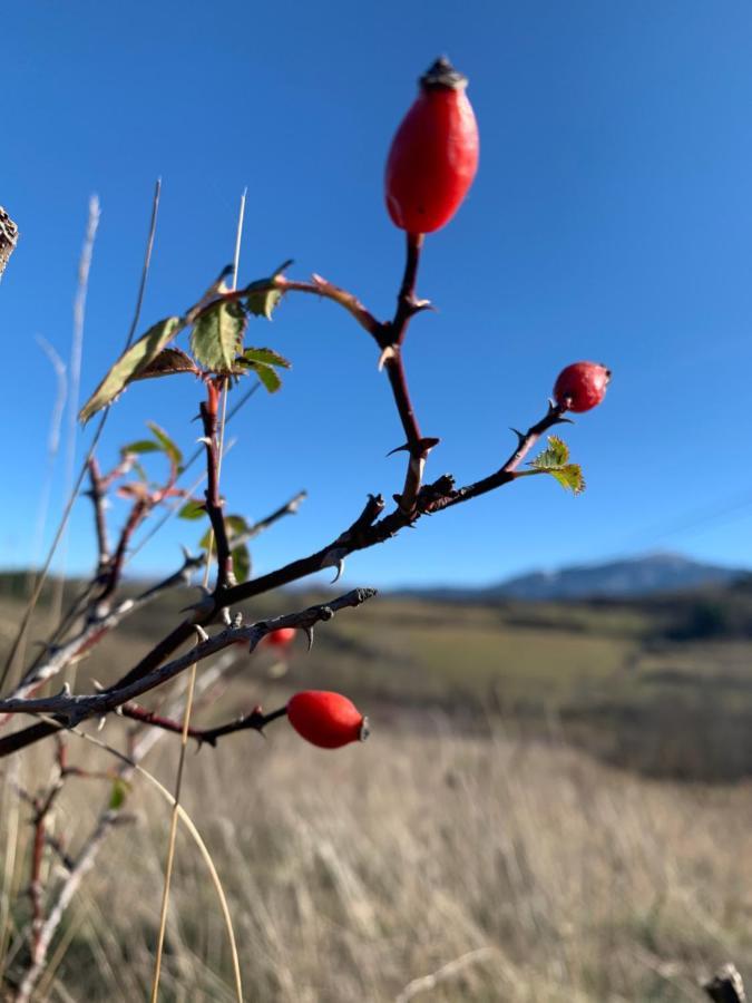 Atico Con Encanto En Bellver De Cerdanya Apartman Kültér fotó